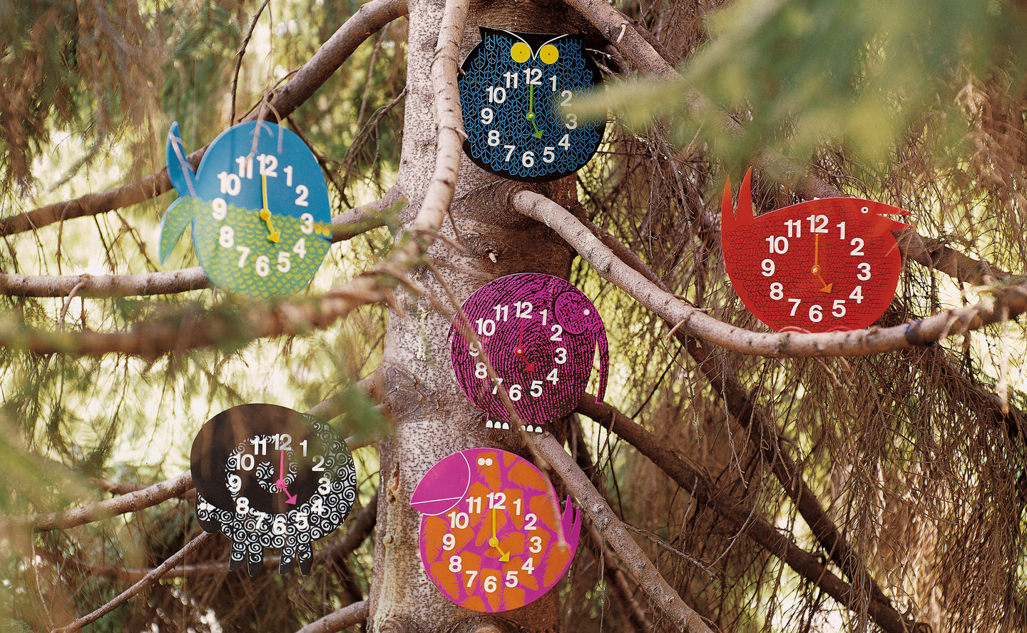 华体会体育官方在线官网 - 附件|钟表|办公家具|华体会体育官方在线官网家具|动物园儿童钟表